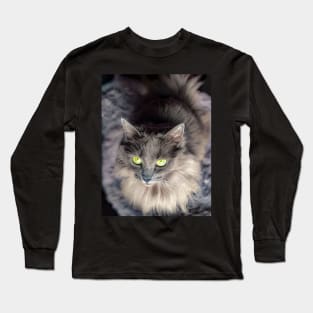 Stunning gray green eyed cat Long Sleeve T-Shirt